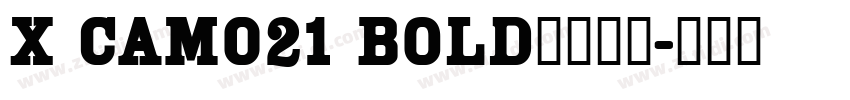 X CAM021 Bold字体下载字体转换